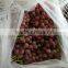 Fresh Grapes Price