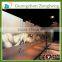 Custom Cut Tempered Shop Fronts Partitions Glass Prefabricated Decorative Sliding Door/Wall Price