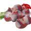 Automatic chicken giblet peeling machine