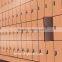 High-grade and mildew proof decorative locker system for golf clubs