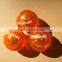 Promotional bounce ball and led bounce ball/flummi and flashing/glow bounce ball