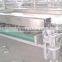 Tomato sorting machine
