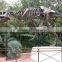 Artificial Dinosaur Skeleton for Sale Museum Quality Skeleton