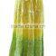LONG BANDHEJ SKIRT