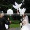 2016 Wedding Helium Inflatable Biodegradable White Dove Balloons For Wedding Decoration Doves Dhaped Bio Balloons                        
                                                Quality Choice