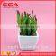 Manufacturers simulation tree plants indoor plants wholesale home decoration glass Decoration