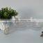 BPA Free Transparent Plastic Ice Cream Bowl