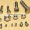 Hexagon Socket Set Titanium Surgical Screws Price