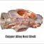 water lube screw air compressor oil free (TW11F)