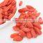 organic goji berry Red Goji(Medlar) wolfberry jinghe goji berries