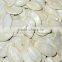 Supply Roasted Salted Snow White Pumpkin Kernels inshell with high quality