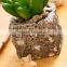 2016 Latest Design Artificial Succulent Pot Succulent Plants For Sale
