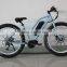 36V 250W Electric Mountain Bike with Fat Tire for Sale