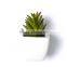 Nearly Natural Artificial Succulent Garden Desk Top Plant in Planter
