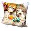 New Love Live Anime Dakimakura 40cm x 40cm Square Pillow Cover SPC215