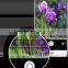 Original huawei p9 cellphone Android 6.0 5.2" FHD 1080P 3+32GB/4+64GB smartphone gold/white/black