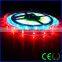 12v 30leds/m smd 5050 ws2811 dmx rgb led strip
