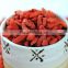 Ningxia dried gojiberry/wolfberry from manufacture