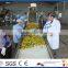 Mango pulp manufacturing process