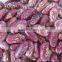 Purple speckled Kidney Bean