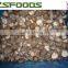 2015 new crop IQF frozen shiitake mushrooms