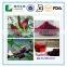 Hibiscus Flower Extract