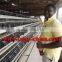 TAIYU Save Labor Cost Farm Chicken Cage Feeding