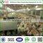 U-BEST full automatic poultry equipment for breeder chicken