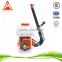 2016 hot sale Agriculture Atomizer and 2 stroke engine sprayer for South America Brazil market