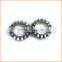 China professional manufacturing stainless steel spring lock washers