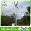 Best Professional All Sizes 5kw mini 12v vertical axis wind generator for homes