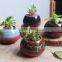 New christmas indoor decor glazed small succulent pot
