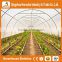 Heracles Trade Assurance tropical area used greenhouse