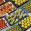 Food Grade Recycle Disposable Rectangular Tomato Plastic Container