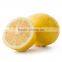 Yellow lemon for sale