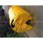 drilling bucket