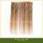 Clip on Indian Human Hair Weft Extensions