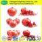 Natural ellagic acid 40% pomegranate bark extract powder
