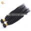 Grade 8a Brazilian Hair Different Types Of Curly Weave Hair Wholesale Hair Bundle