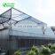 Multispan Tunnel Greenhouse for strawberry grape raspberry&Agricultural Greenhouse