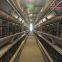 Ecuador Poultry Farm - Battery Chicken Cage & Poultry Cage & Small Layer Cage Used in Brooding Room