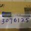 CCEC K19 K38 K50 injector parts Barrel & Plunger 3076125
