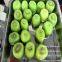 Apple Peeling Machine Industrial Electric Apple Peeler Corer Slicer Machine