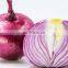 frozen onion hot selling delicious quality Chinese shandong famous brand vegetables