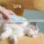 Professional Puppy Dematting Cleaning Flea Grooming Hair Removal Pet Massage Comb