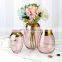 Hot Sales Cheap Morden Nordic Gold Plated Sitting Room Decoration Hydroponic Plants Pot Glass Vase