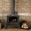 Freestanding Heater Wood Burning Stove Indoor Cast Iron Fireplace