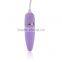 2016 High Quality OEM Service Lovely Purple Waterproof Remote Control Eggs for Women