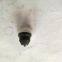 GENUINE  NT 855 Engine Parts Injector Cup 3012537