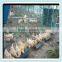 Holland wire mesh/Holland fence